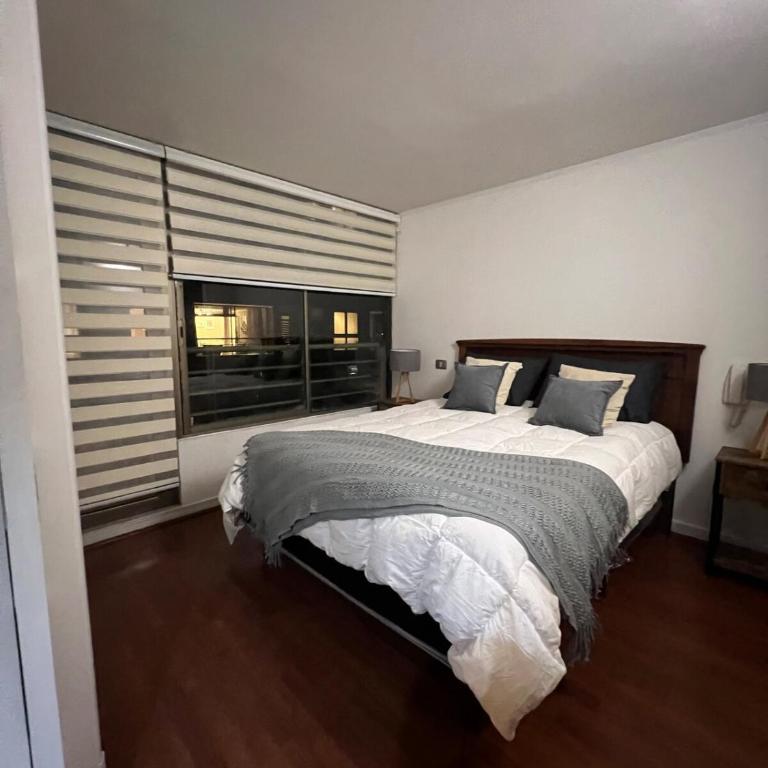 Top Accommodation in Providencia - One-Bedroom Superior Apartment - 3