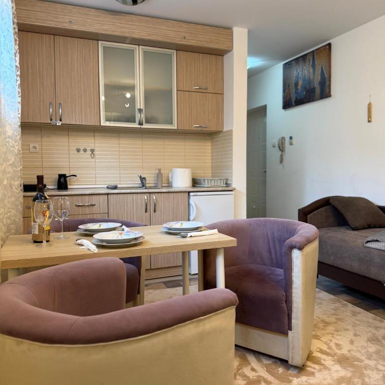 Apartman Kitanović 2 Vrnjačka Banja - Apartman sa 1 Spavaćom Sobom - 9