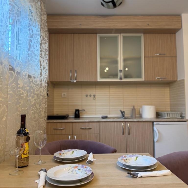 Apartman Kitanović 2 Vrnjačka Banja - Apartman sa 1 Spavaćom Sobom - 8