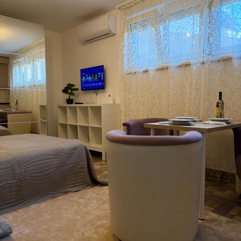 Apartman Kitanović 2 Vrnjačka Banja - Apartman sa 1 Spavaćom Sobom - 5