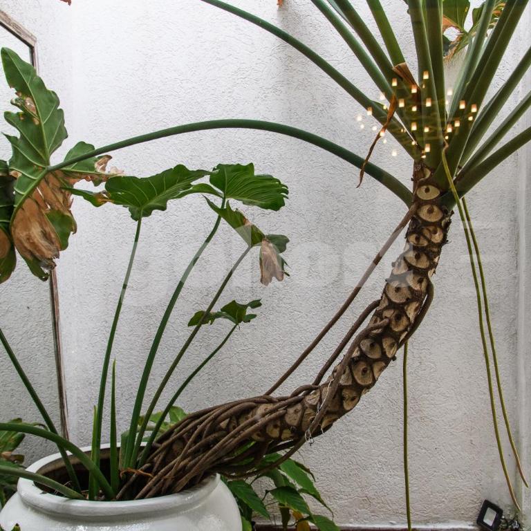 Spacious and chic house in Las Mercedes - Apartamento - 29