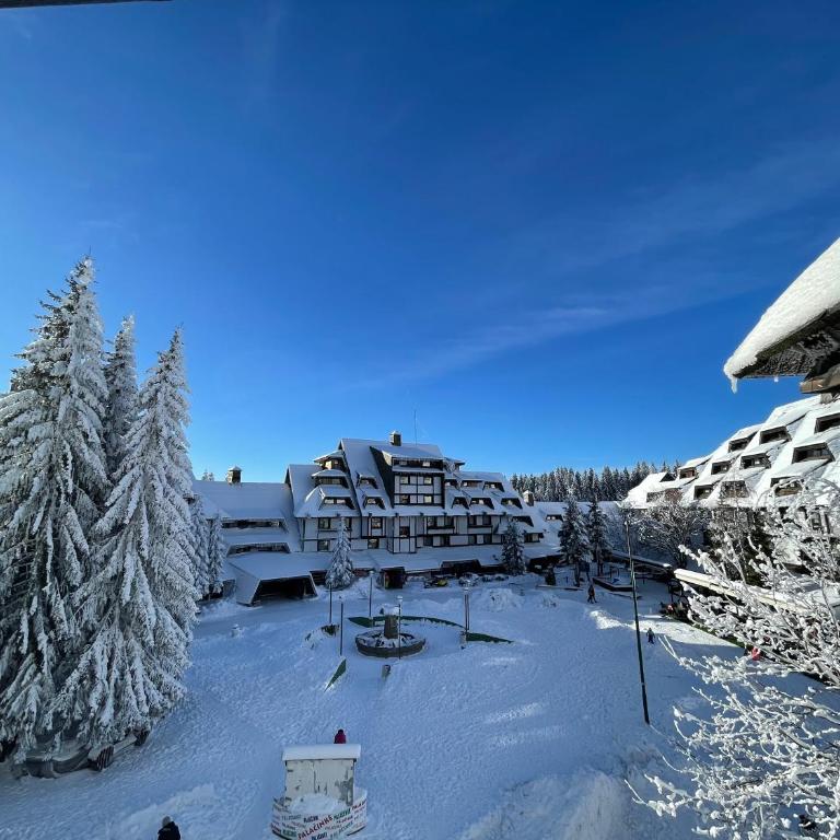 Apartments Konaci BOOKING - Studio sa Pogledom na Planinu - 1