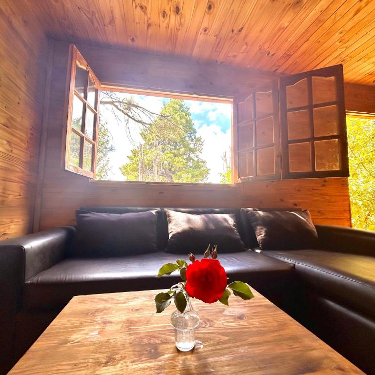 Increíble cabaña de montaña - One-Bedroom Apartment - 1