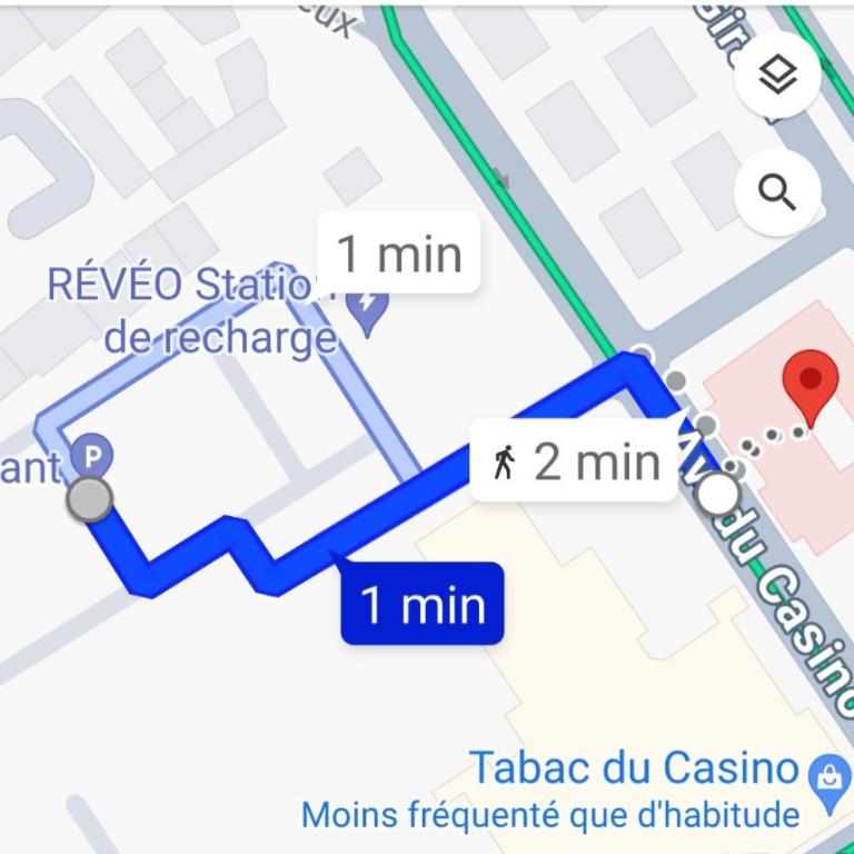 Les Palmiers - Appartement 1 Chambre - 22
