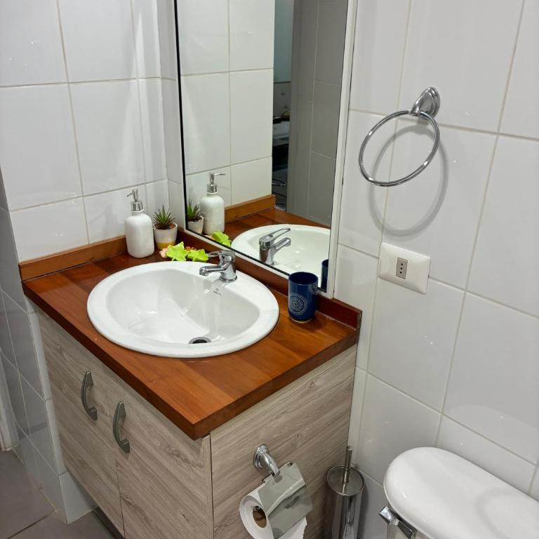 Confortable departamento, Nuevo Parque Suizo - One-Bedroom Apartment - 9