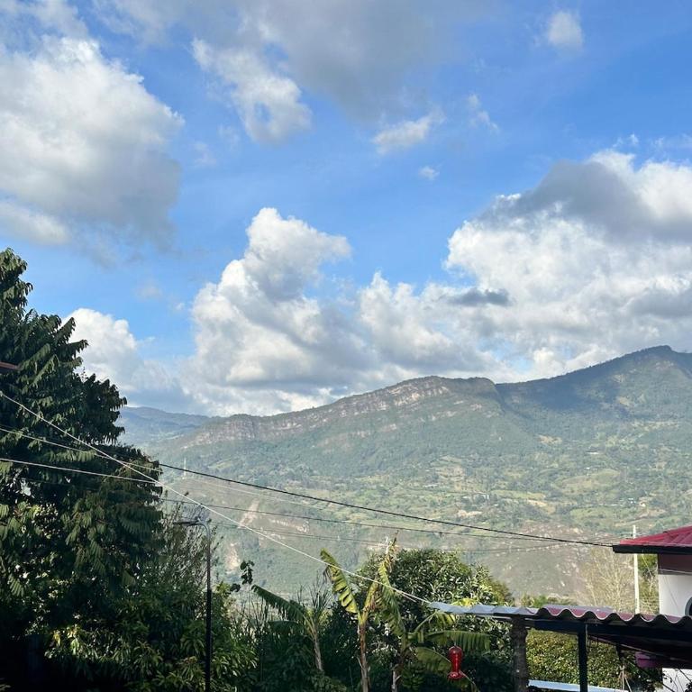 Glamping Cabaña Familiar Campestre 103 - One-Bedroom House - 33