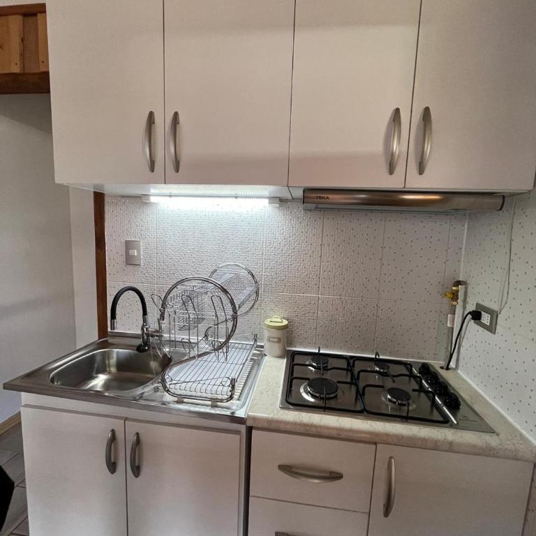 Loica Loft - One-Bedroom Apartment - 4