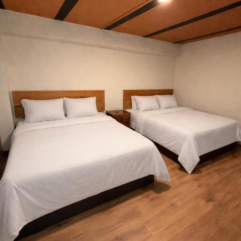 Ecohotel Naranjos - Habitación Doble con vistas - 2 camas - 7