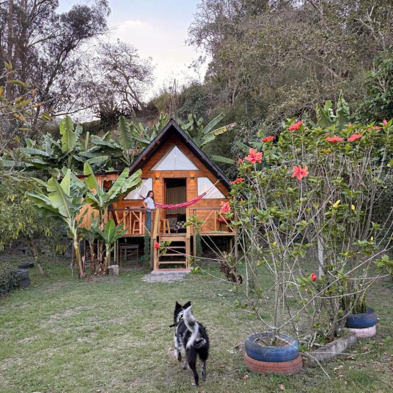 Cabaña Familiar Campestre 105 - Casa con 1 dormitorio - 32