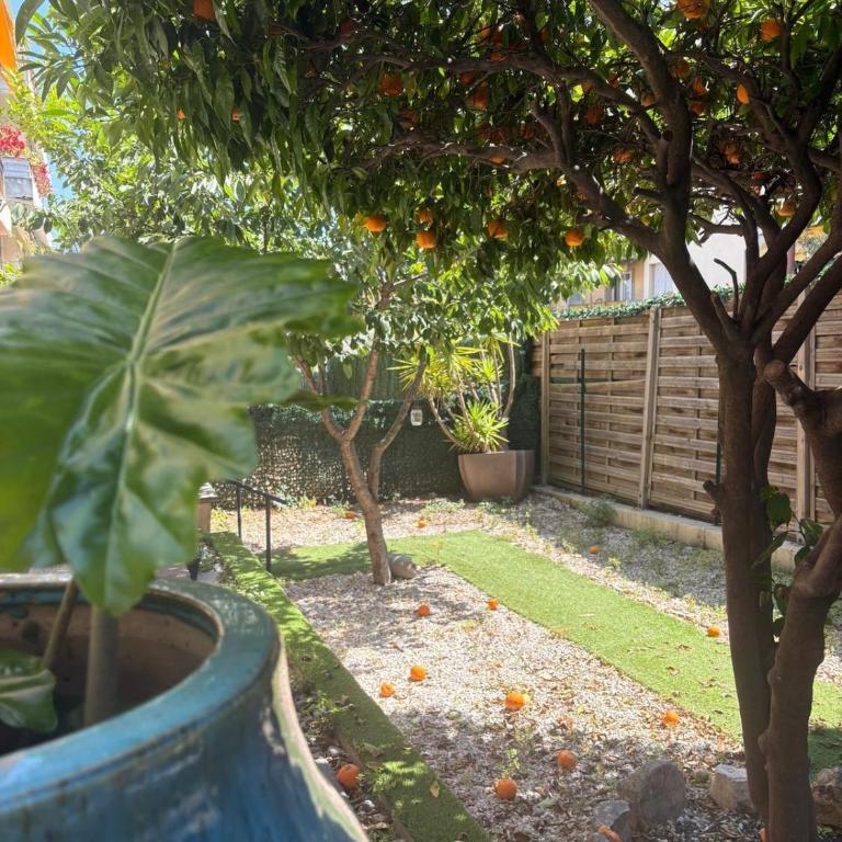 Appartement jardin - Appartement 3 Chambres - 64
