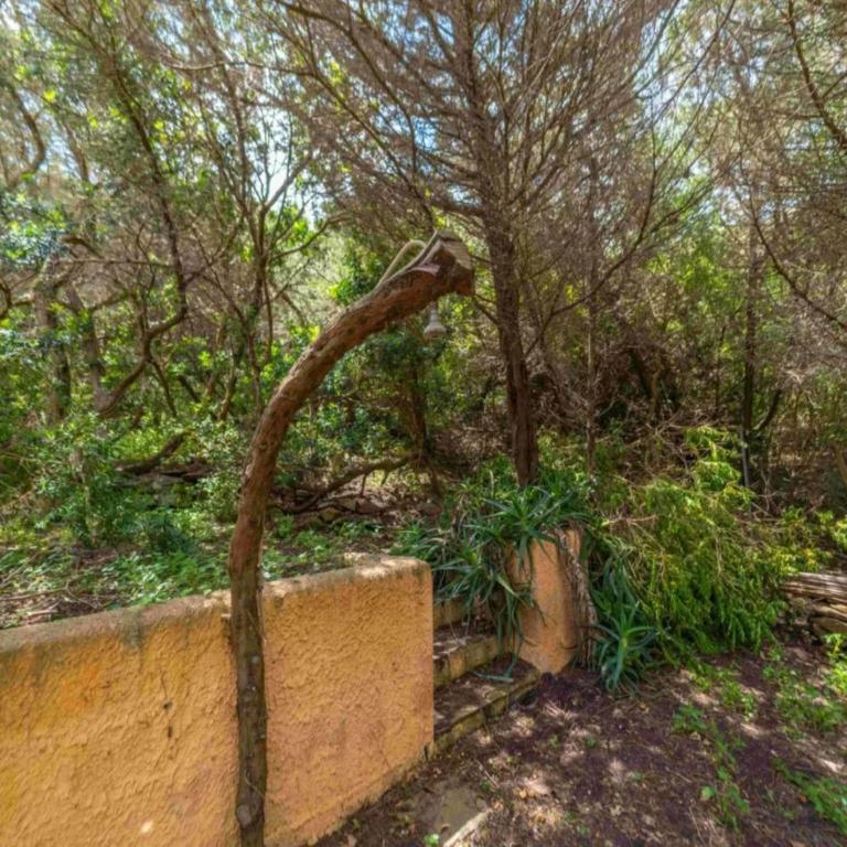Exclusive retreat just a few meters from the sea - Appartamento - 13