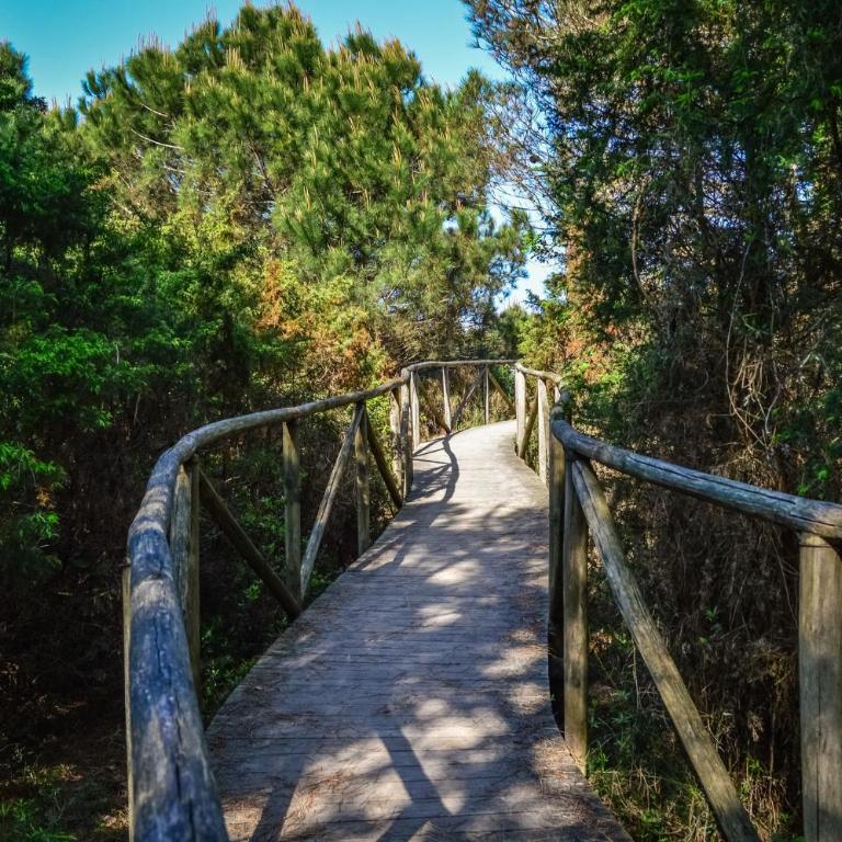 Rosolina Mare cozy beach flat-250m from the sea - Appartamento - 18