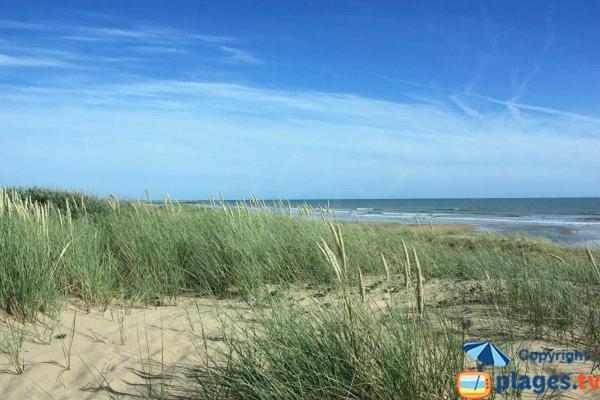 A seulement 150m plage et rue piétonne, maison 90m2, 6 personnes avec parking privé et 2 terrasses sud - Maison 2 Chambres - 4