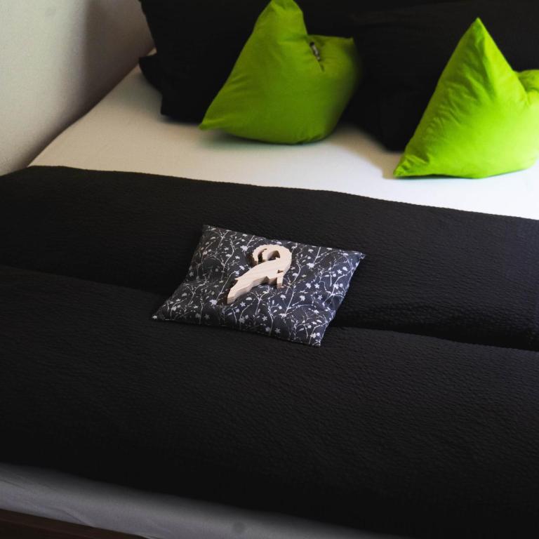 Apart Arve - Studio - 4