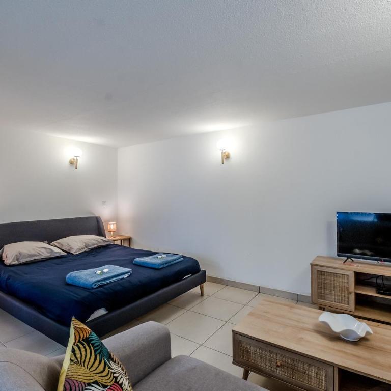 Studio Bacchus - Appartement 1 Chambre - 9
