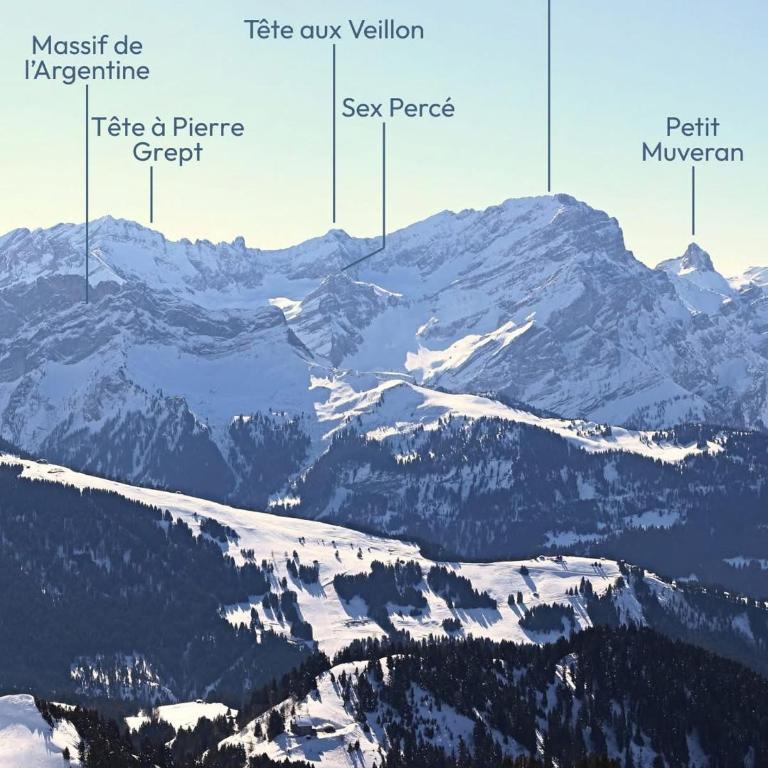 Chalet L'Adret, 3,5 pièces dans les combles. - Apartment mit 1 Schlafzimmer - 31