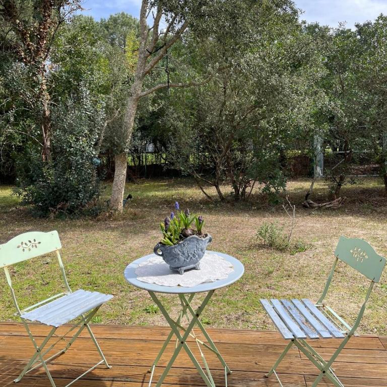 Villa L'Effet Mer, lux living by vineyard and beach - Villa con Piscina Privata - 28