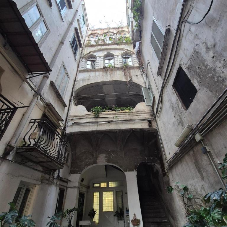 Casa D'Antò-700 Borbonico - One-Bedroom Apartment - 4