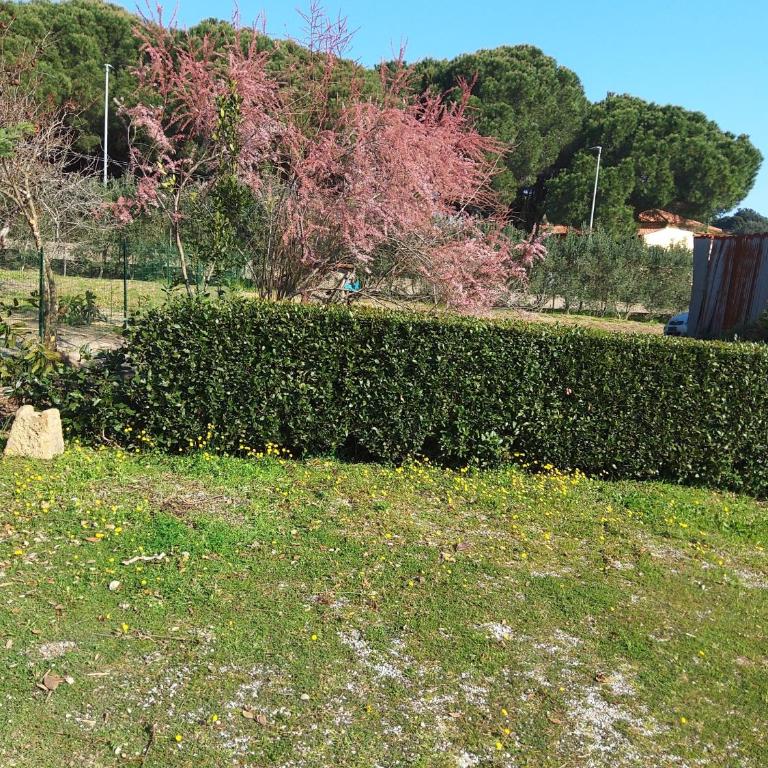 Casa la Quercia - Two-Bedroom House - 25