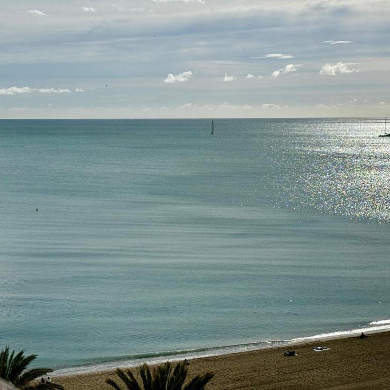 Malagueta Playa - One-Bedroom Apartment - 3