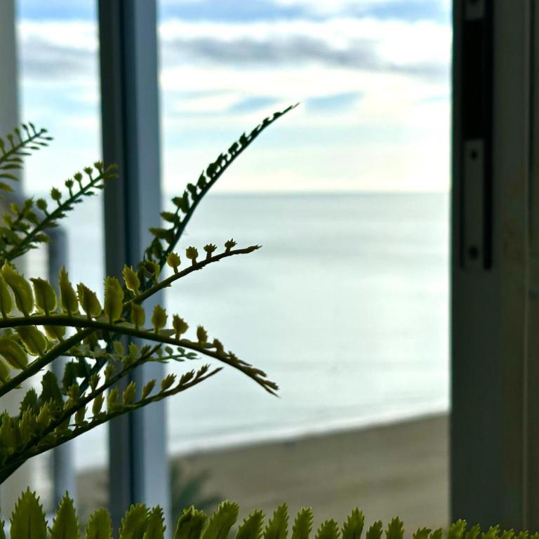 Malagueta Playa - One-Bedroom Apartment - 10