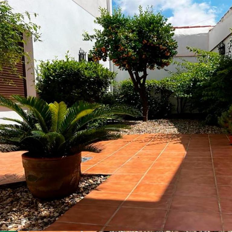 Rincón Almorávide Apartamento en Córdoba Centro - Apartamento de 1 dormitorio con terraza - 16