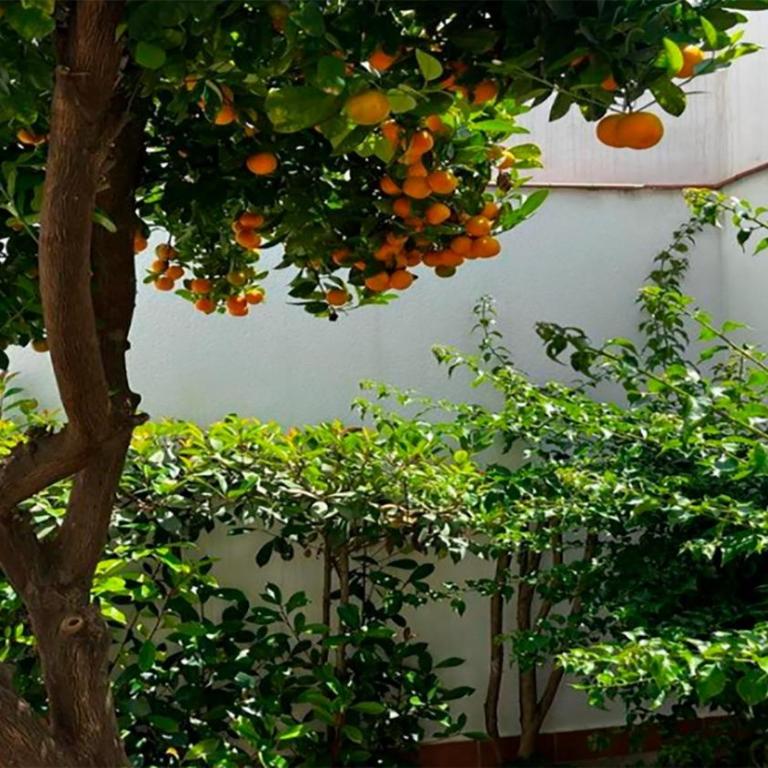 Rincón Almorávide Apartamento en Córdoba Centro - Apartamento de 1 dormitorio con terraza - 20