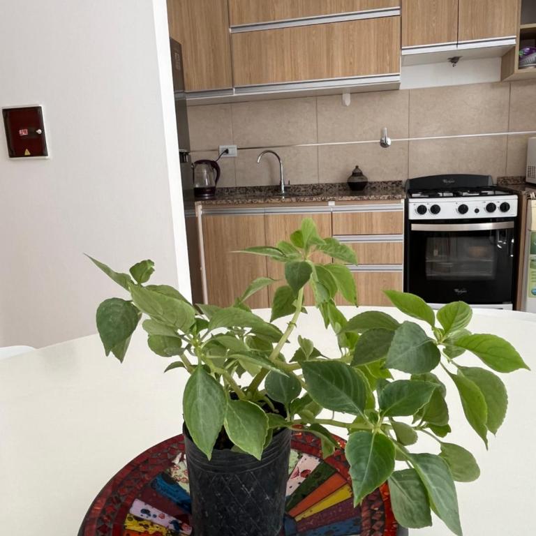 Torre imperio - Apartamento de 1 dormitorio - 14