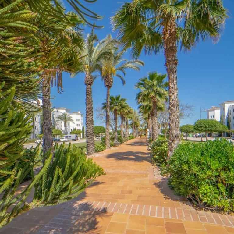 Spacious Villa - DN32LT - Villa - 40