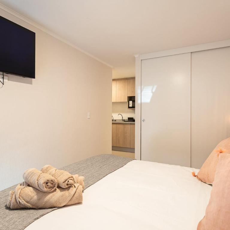 Cozy City Stay in Downtown Santiago for 2 - Apartment - 8