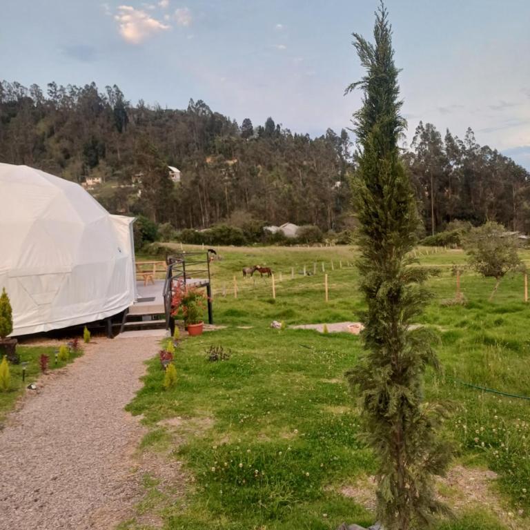 Cachihuayco Glamping & Ecolodge - Apartamento de 1 dormitorio - 3