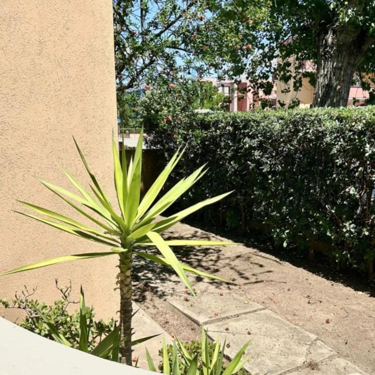 Casa Flor Seaside - Two-Bedroom Apartment - 22