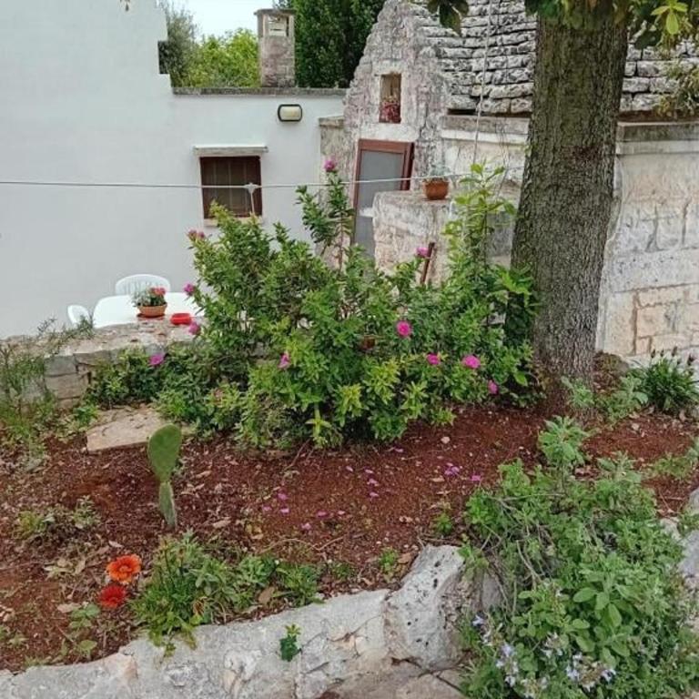 Trullo del Leccio da Madia - Casa con 2 Camere da Letto - 50