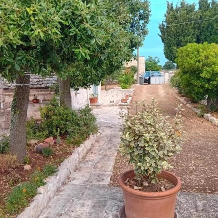 Trullo del Leccio da Madia - Casa con 2 Camere da Letto - 55