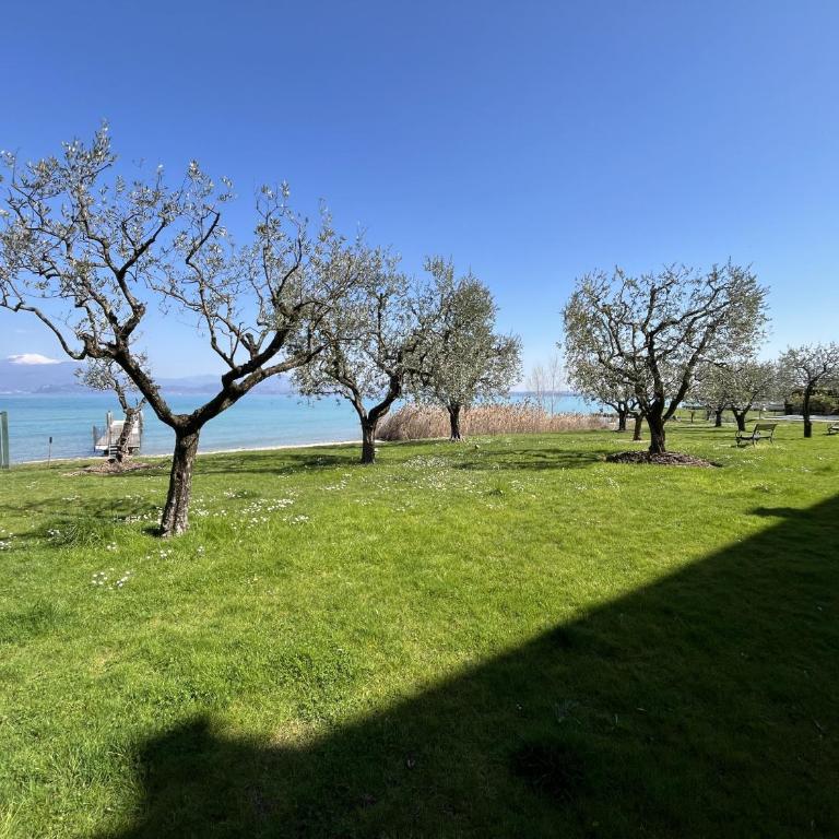 Residenza Corona 13 - Appartamento - 34