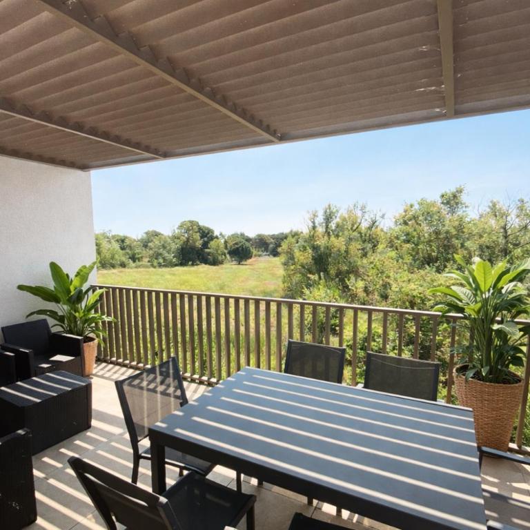 AGENCE JF IMMO-T2 climatise 4 pers avec terrasse vue campagne piscine et parking V0773 - Appartement 1 Chambre - 1