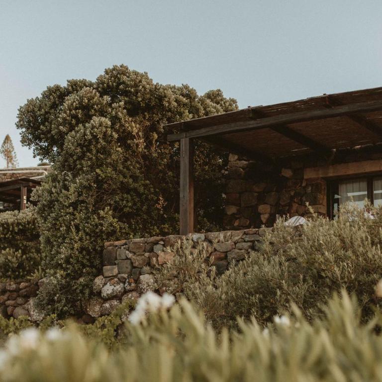 Pantelleria Dream Resort - Grande Dammuso - 3