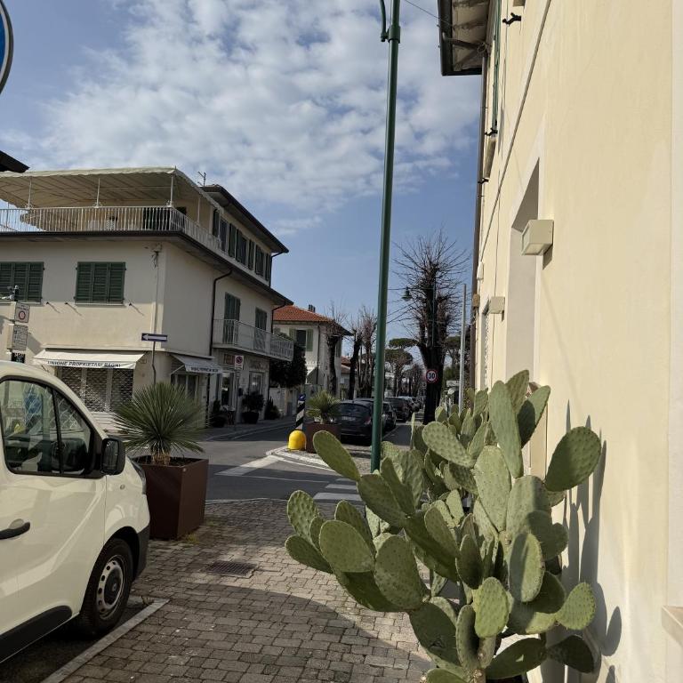 Panciroli Forte Dei Marmi - Appartamento con 2 Camere da Letto - 29
