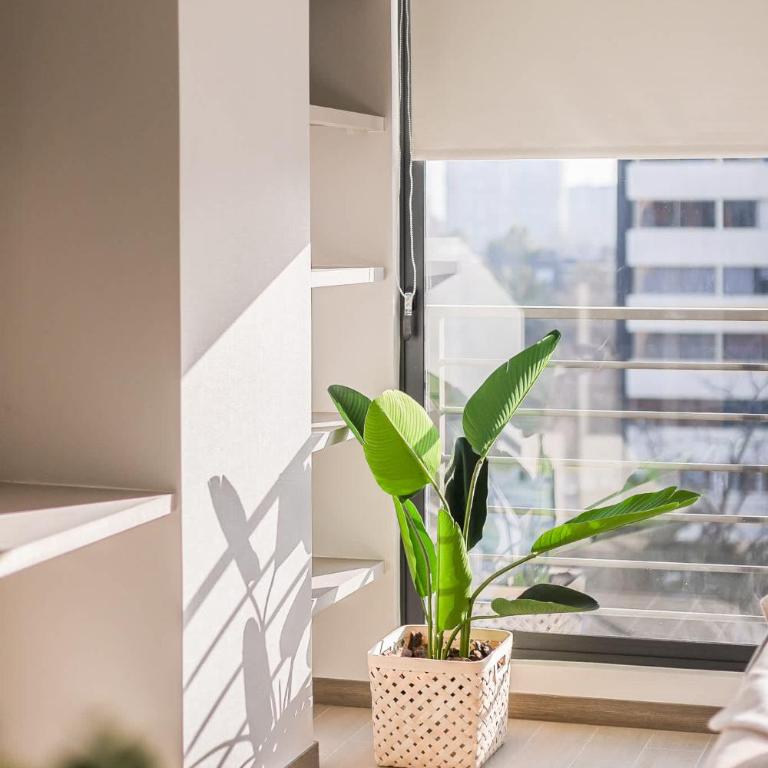 Cozy Studio in the Heart of Nunoa Perfect for Two - Apartment - 4