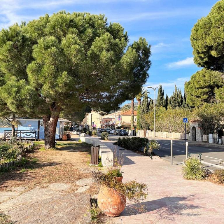 CE100-005 Studio mezzanine 5 couchages CAVALIERE - Appartement - 16