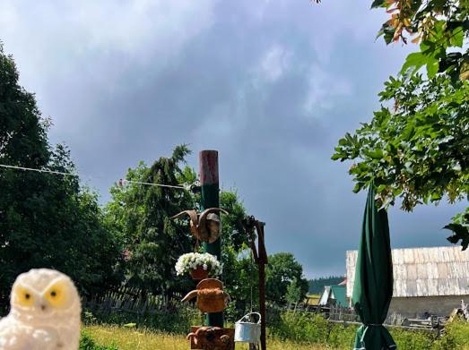 Durmitorske kolibe - Chalet - 3