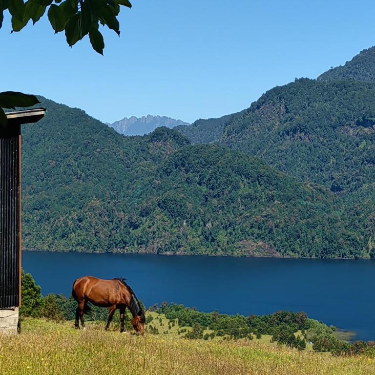 Cabaña7 - One-Bedroom Chalet - 89