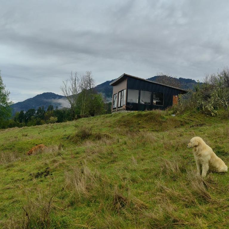 Cabaña7 - One-Bedroom Chalet - 95