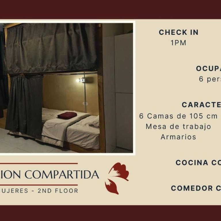 Casa Sucre Hostel Ayacucho - Litera en habitación compartida - Solo mujeres - 1