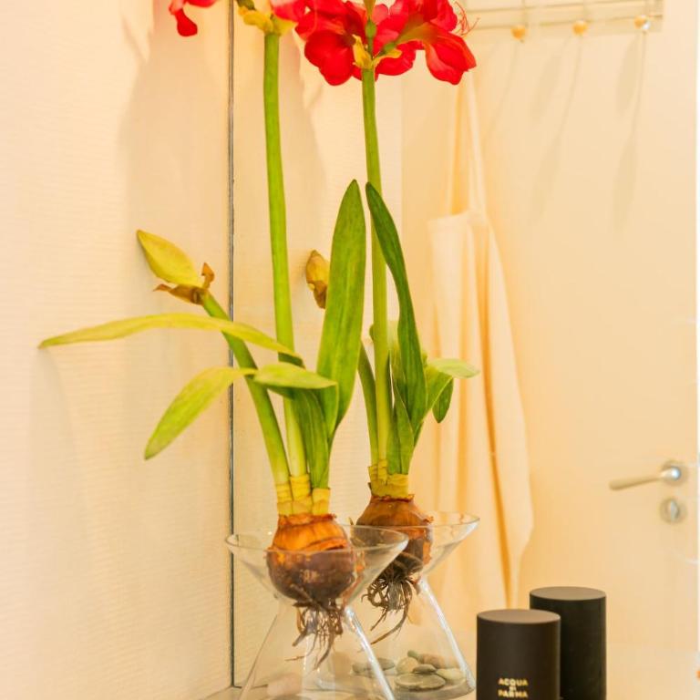 Studio spacieux, chic et calme, près du Bon Marché - Appartement 1 Chambre - 48