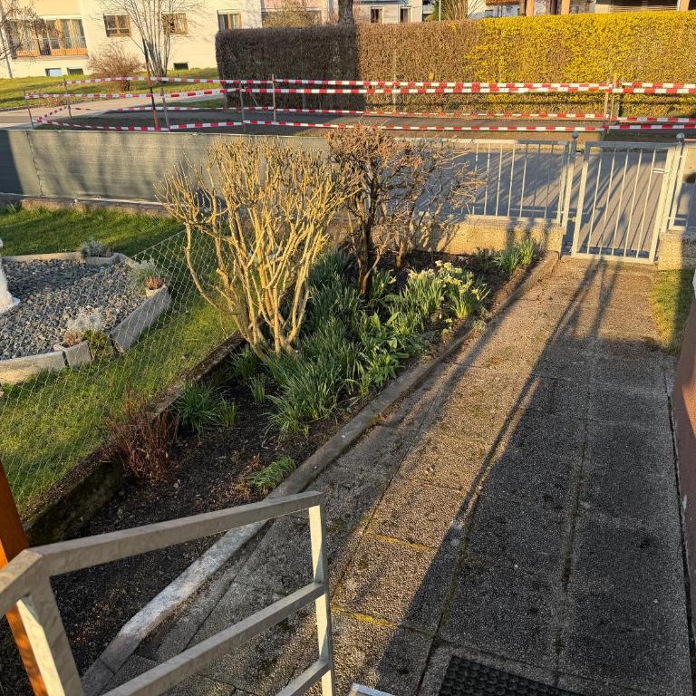 Großzügiges Einfamilienhaus samt Garten & riesiger Garage - Apartment - 36