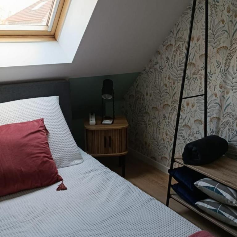Appartement proche Zenith & Polyclinique - Appartement 1 Chambre - 10