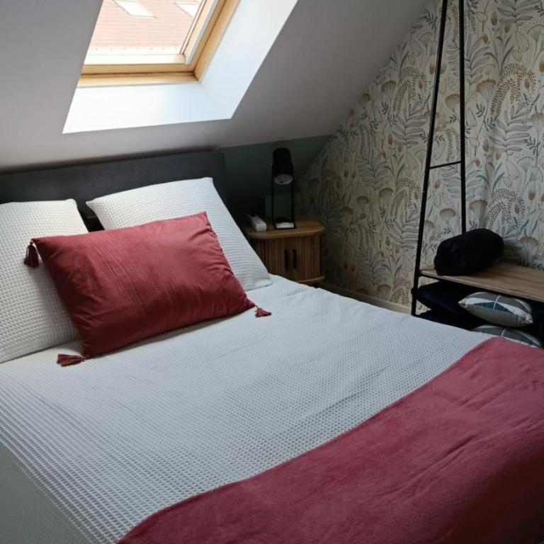 Appartement proche Zenith & Polyclinique - Appartement 1 Chambre - 8