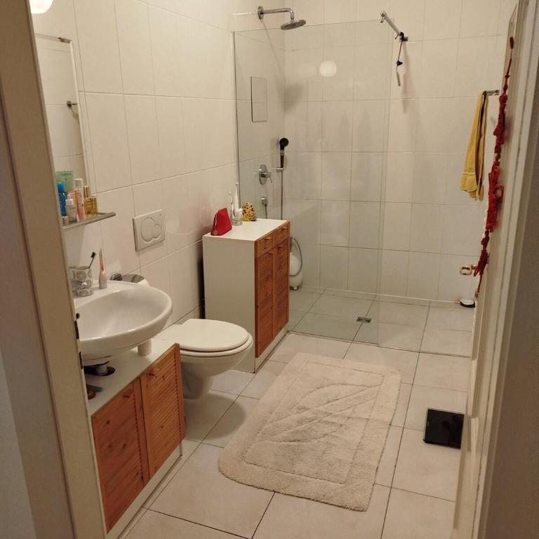 Spacious unique 150m2 apartment Geneva city center - Appartement 3 Chambres - 21