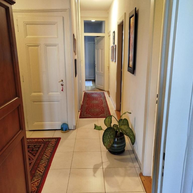 Spacious unique 150m2 apartment Geneva city center - Appartement 3 Chambres - 24